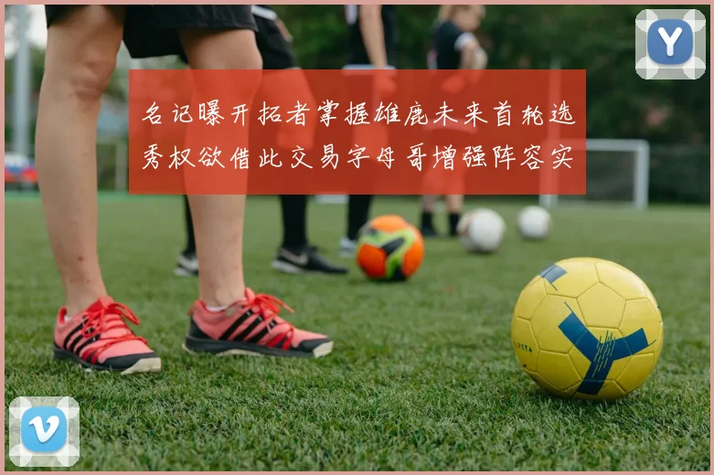 名记曝开拓者掌握雄鹿未来首轮选秀权欲借此交易字母哥增强阵容实力