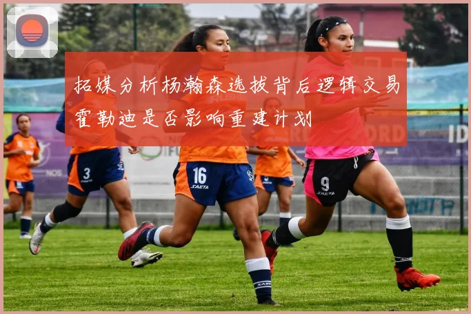 拓媒分析杨瀚森选拔背后逻辑交易霍勒迪是否影响重建计划