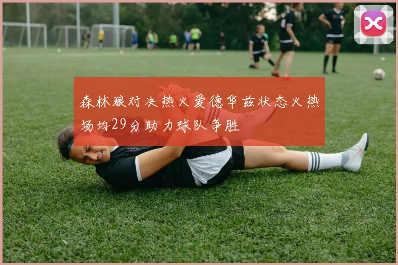 森林狼对决热火爱德华兹状态火热场均29分助力球队争胜