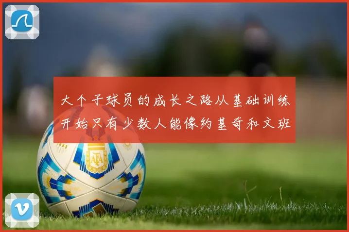 大个子球员的成长之路从基础训练开始只有少数人能像约基奇和文班那样成功