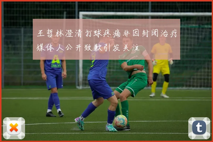 王哲林澄清打球疼痛非因封闭治疗媒体人公开致歉引发关注